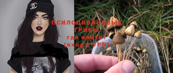 гашик Абдулино