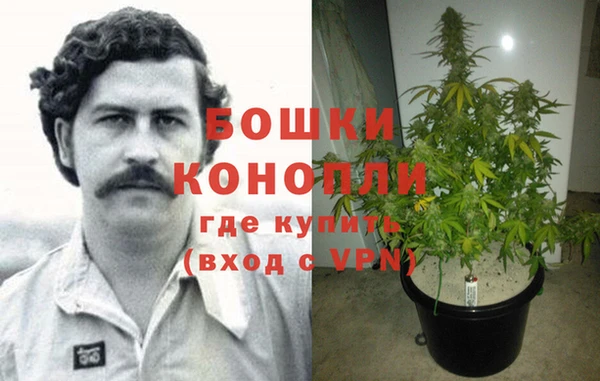 бошки Алзамай